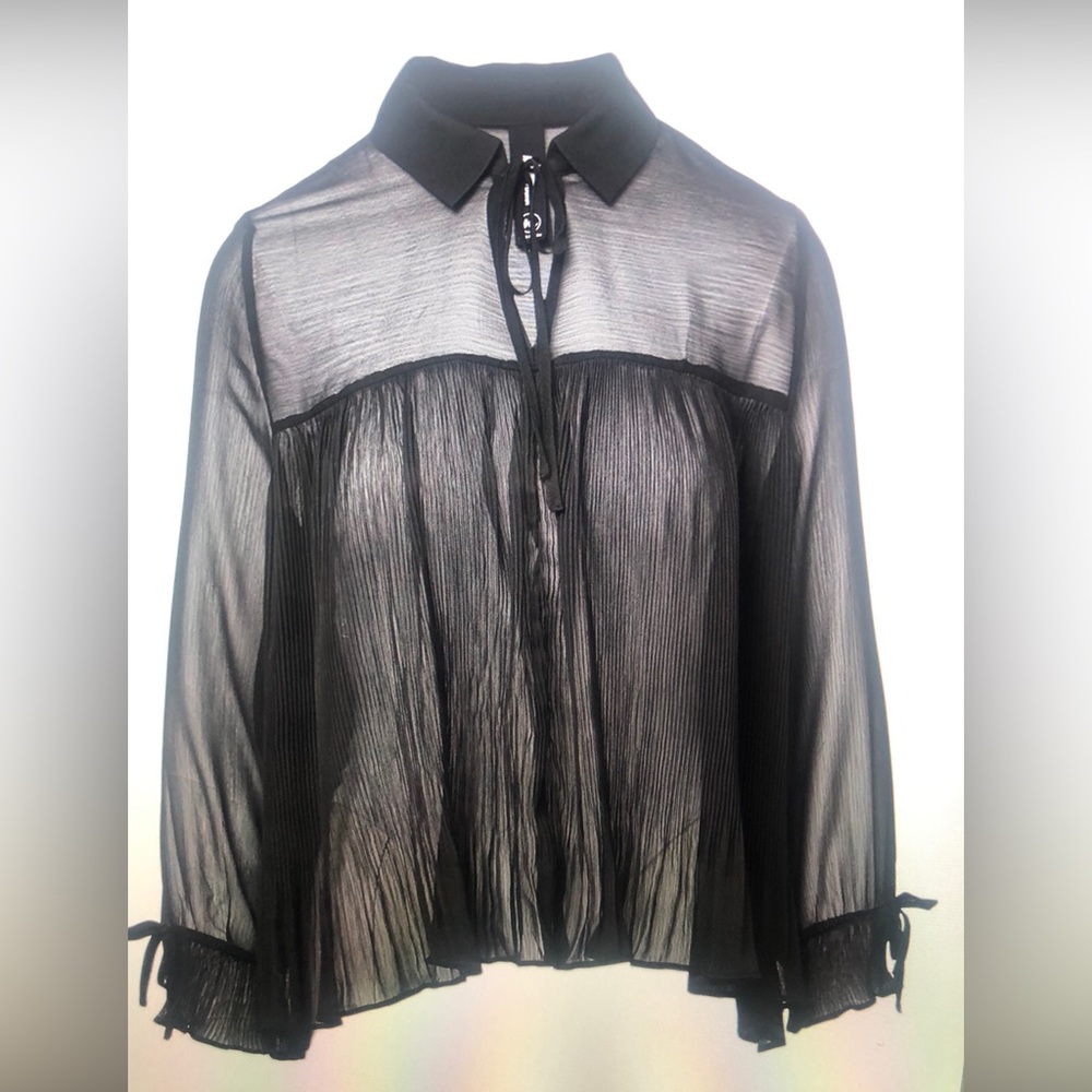 BLACK Pleated Sheer Poet-Sleeve Top (NWT-New!)